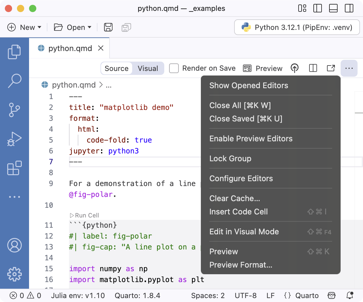 The top of the Positron editor. The editor title menu is expanded and the Preview Format command is available on the menu.